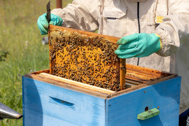 Similar image 22236978