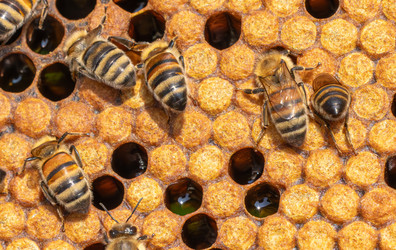 Similar image 22236980