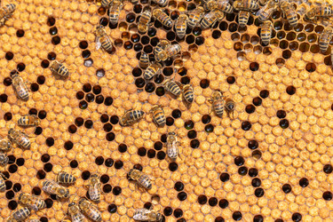 Similar image 22236982