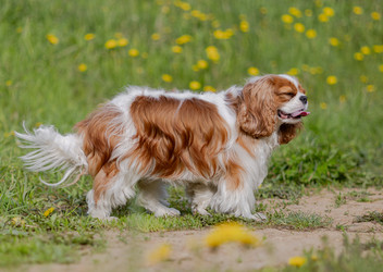 Similar image 22236989