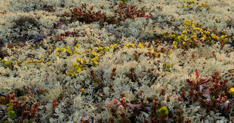 Similar image 22237006