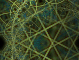 Similar image 22246559