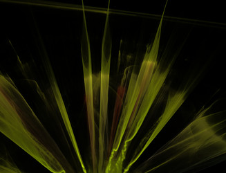 Similar image 22245996