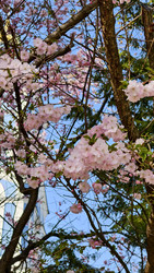 Similar image 22237371