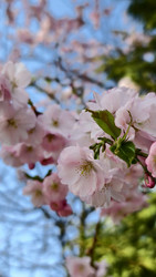 Similar image 22237372