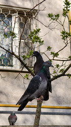 Similar image 22237374