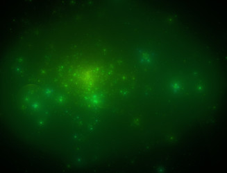 Similar image 22246012