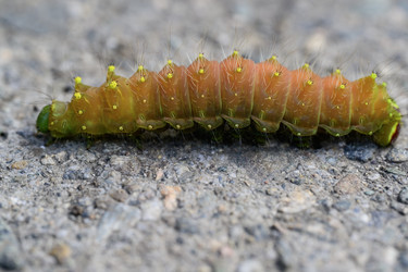 Similar image 22235015