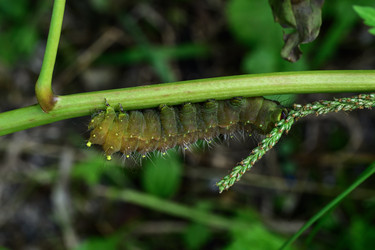 Similar image 22235016