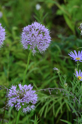 Similar image 22235018