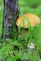 Similar image 22233633