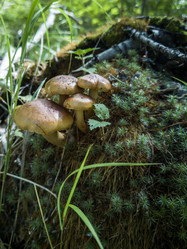 Similar image 22233636