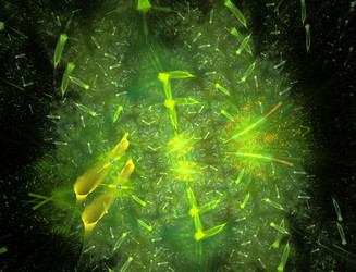 Similar image 22246029