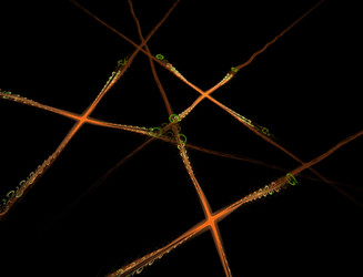 Similar image 22246052