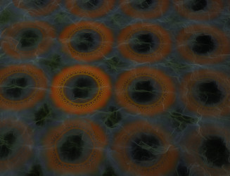 Similar image 22246060