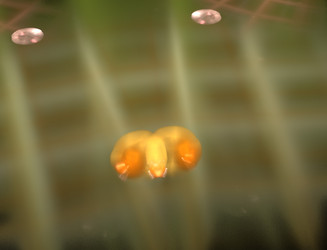 Similar image 22246082