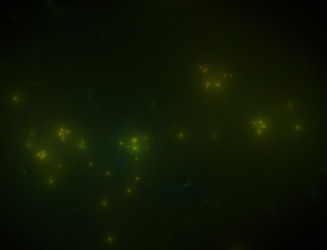 Similar image 22246160