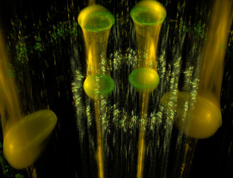 Similar image 22246169