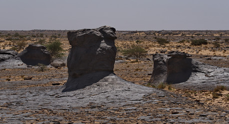 Similar image 22234812