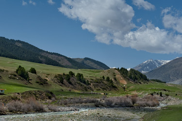 Similar image 22233646