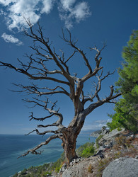 Similar image 22233649