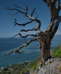 Similar image 22233650