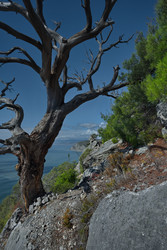 Similar image 22233651