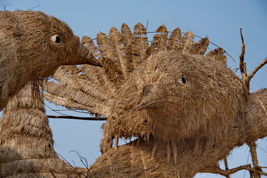 Similar image 22233652