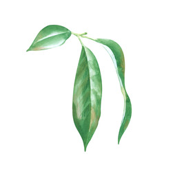 Similar image 22236424