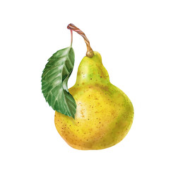 Similar image 22235937