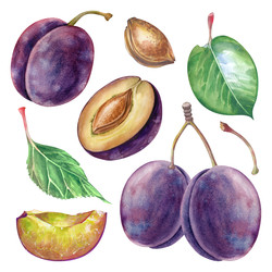 Similar image 22235941