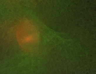 Similar image 22246189