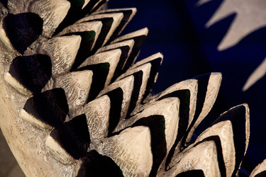 Similar image 22234722