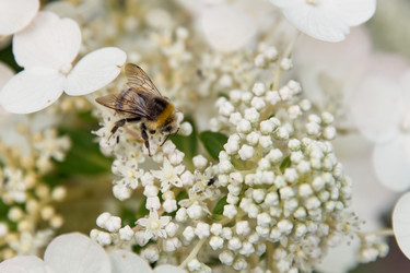 Similar image 22234723