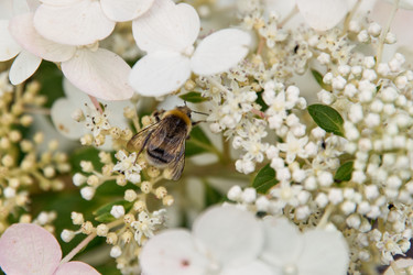 Similar image 22234724