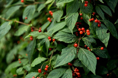 Similar image 22233715