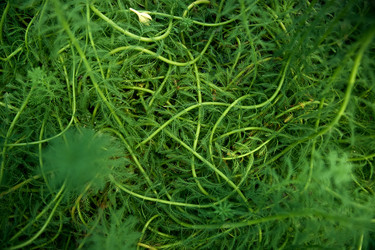 Similar image 22233716