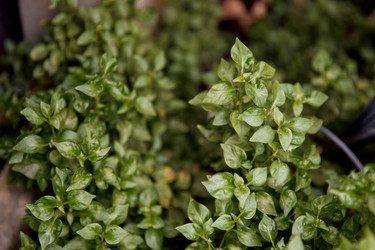 Similar image 22233717