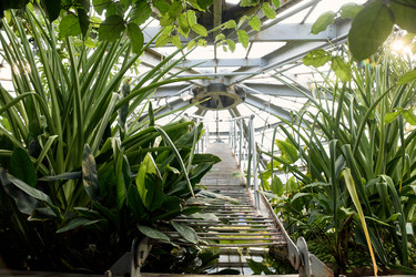 Similar image 22234727