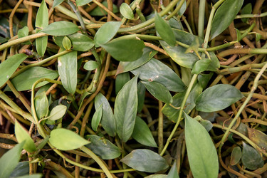 Similar image 22234728