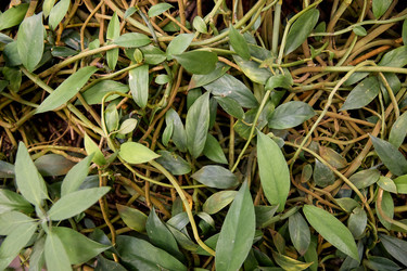 Similar image 22234729