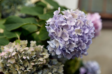 Similar image 22234730