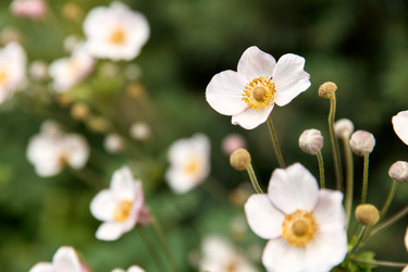 Similar image 22234731