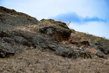 Similar image 22239828