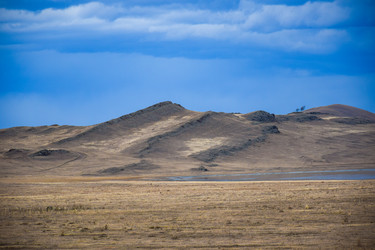 Similar image 22239832