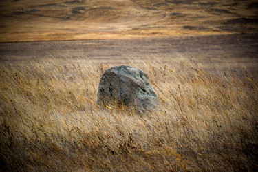 Similar image 22239835