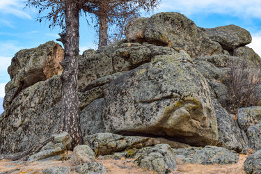 Similar image 22239836