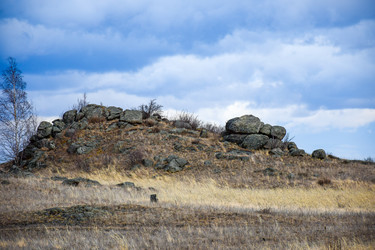 Similar image 22239841