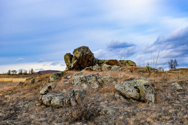 Similar image 22239843