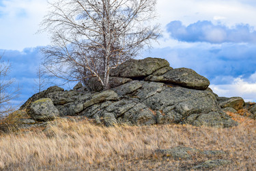 Similar image 22239844